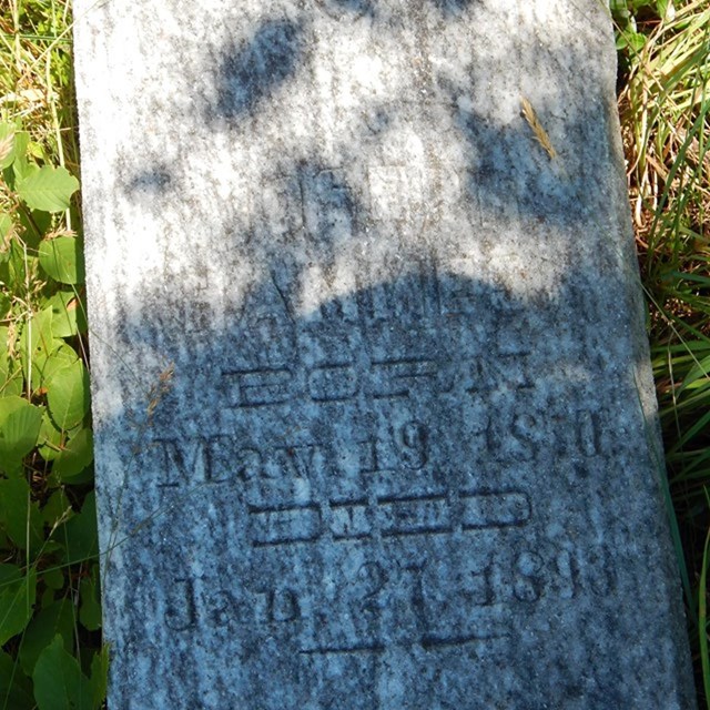 A grave marker on the ground shows a shadow made from a tree.