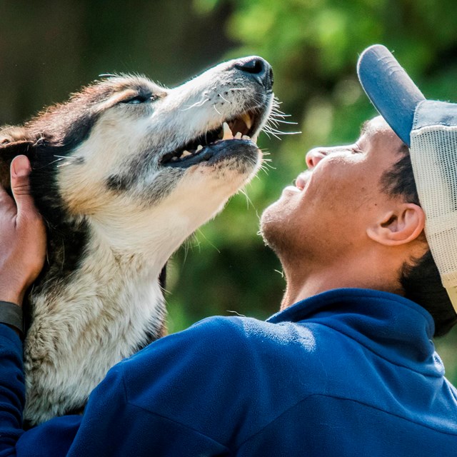 a smiling man in a ballcap pets a husky