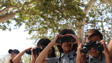 A group of kids look toward the camera through binoculars.