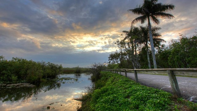 A waterway edged with trees with a road on the right, pink clouds in the sky. 