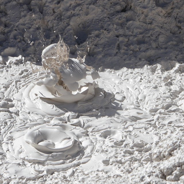 A blob of mud pops up above pool of mud.