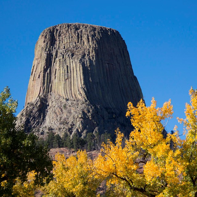 A granite tower rises above evergreen and golden leafed trees