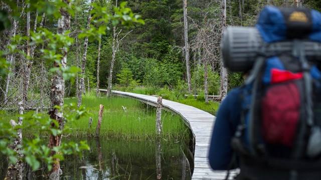 Backpacker on boardwalk through a pond