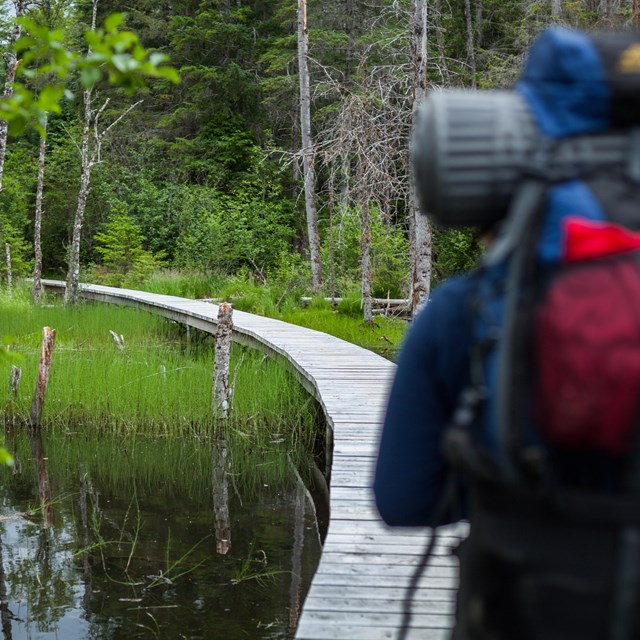 Backpacker on boardwalk through a pond