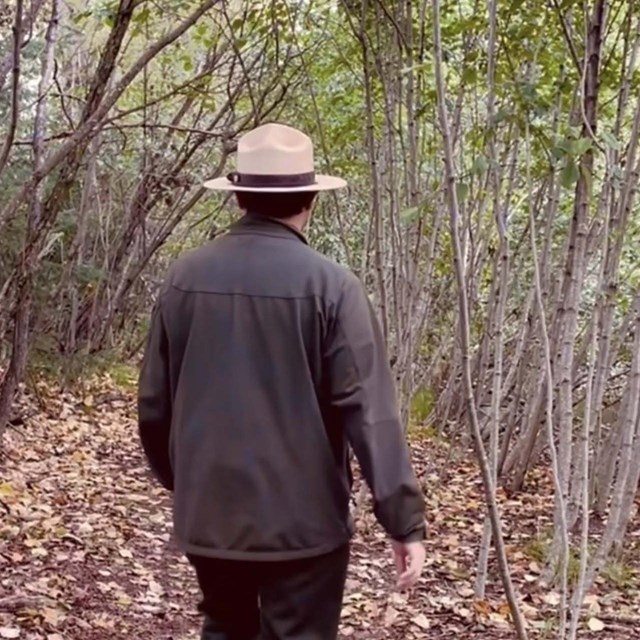 A ranger walks down a dirt path. Yellow leaves lay on the ground.