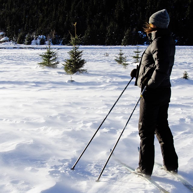 A woman stands facing the wind while cross-country skiing. 