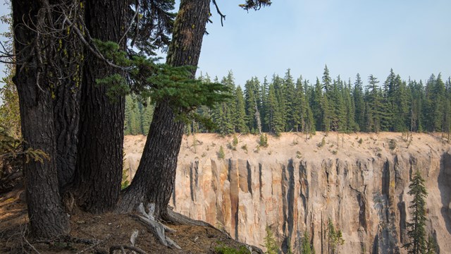 Rock cliff with trees in foreground in Crater Lake National Park 