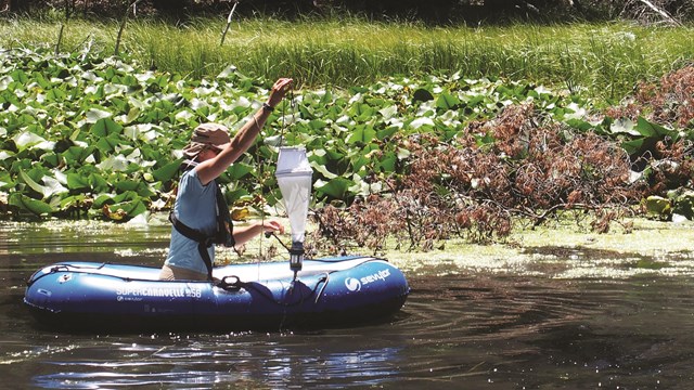 NPS staff in boat on lake holding zooplankton sample