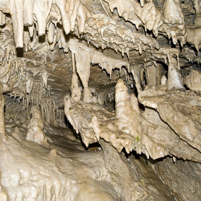 Stalagmites and stalactites in a cave at Oregon Caves National Monument & Preserve