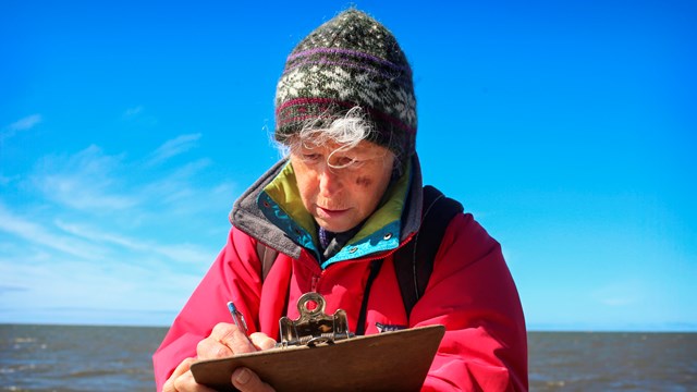 Volunteer in Parks Researcher collecting seabird data