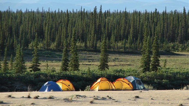  5 tents on the sand dunes near forest and mountains.