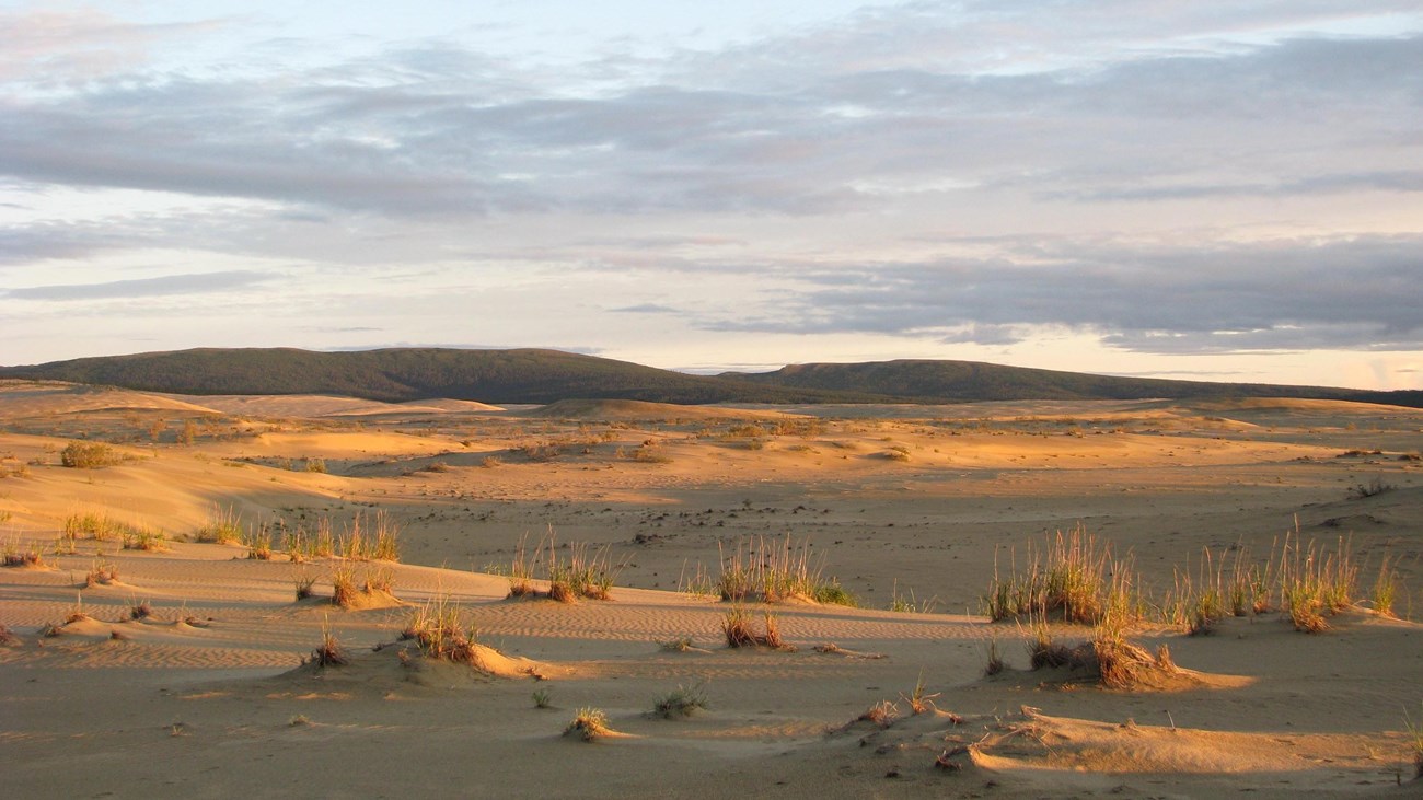 Evening light on sand dunes and low mountains