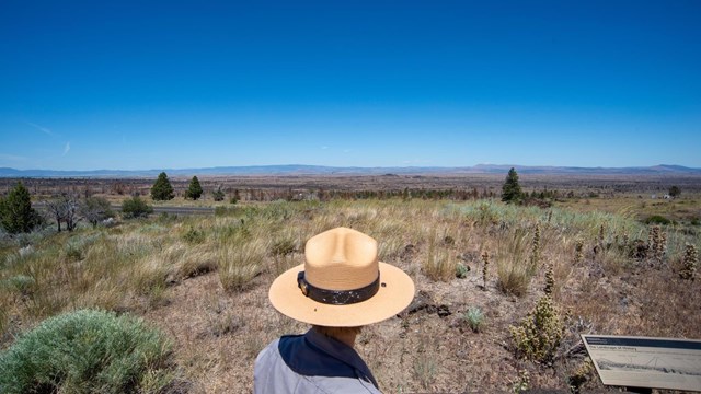 Park staff conducting work in the field.