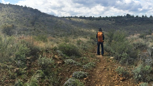 A hiker on a trail