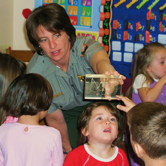 A ranger holding up a display of a bat skeleton to a group of children.