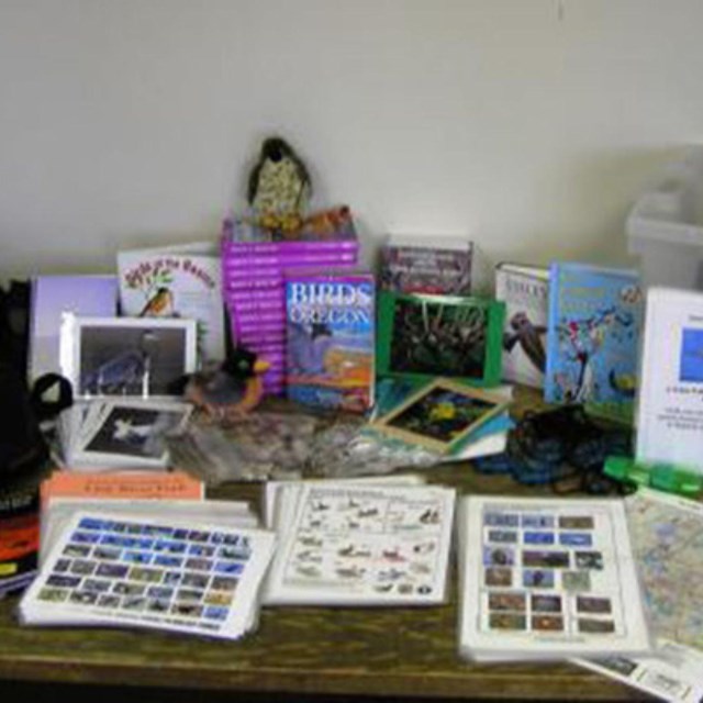 A collection of books and pamphlets on a table.