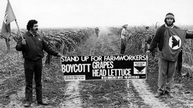 Picketers in field hold banner showing support of grape and lettuce strike.