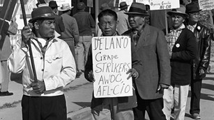 Farmworkers walk on a picket line holding signs.