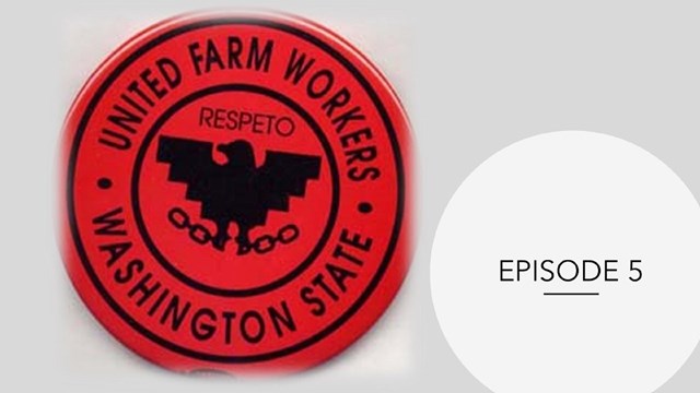 Washington State United Farm Workers Button