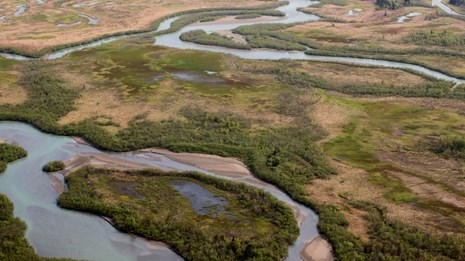 An aerial view of salt marshes near Chinitna Bay
