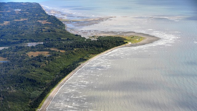 An aerial image of green trees and sandy beaches meeting blue ocean. 