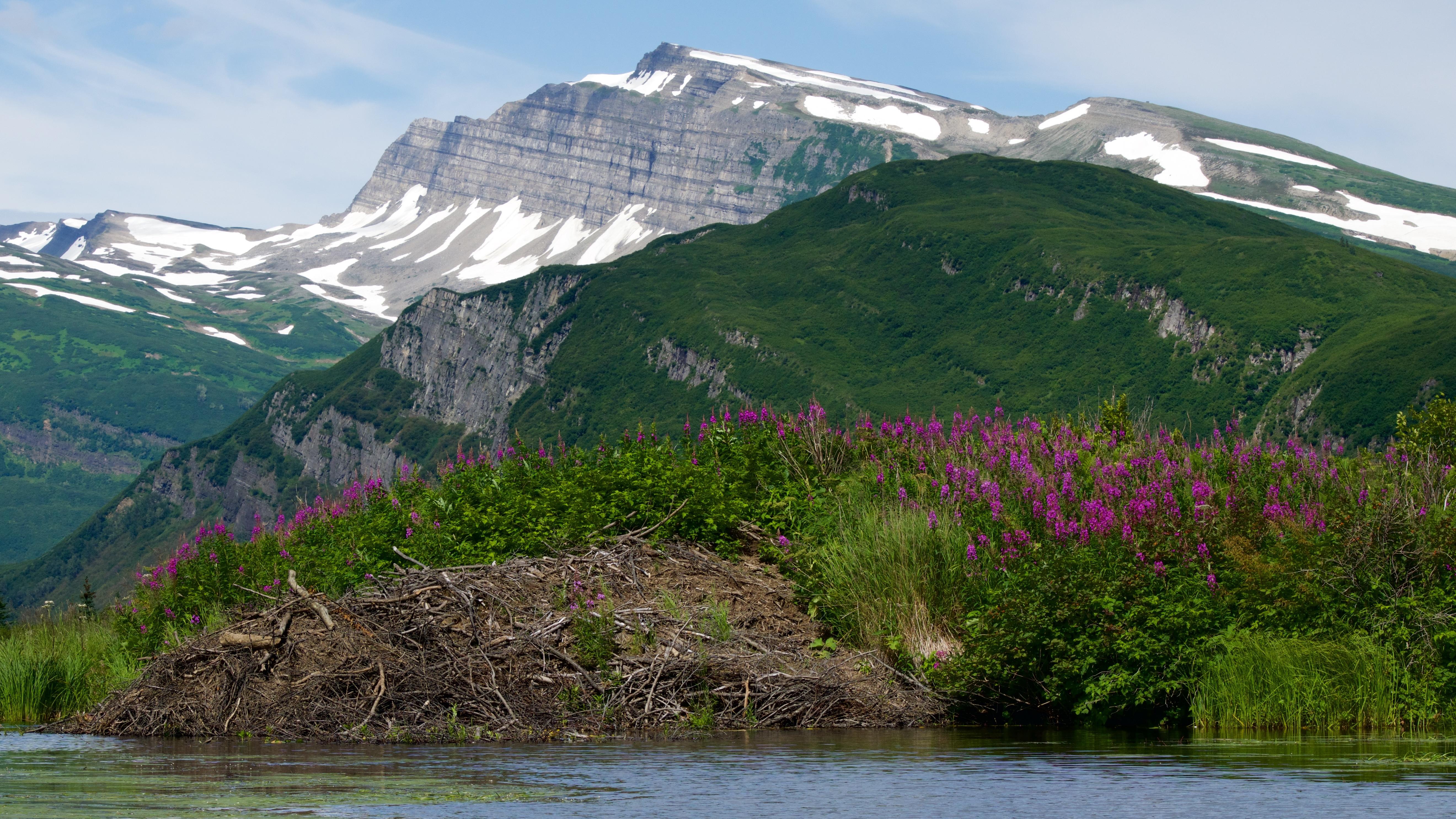 Slope Mountain over a beaver dam at Silver Salmon Creek