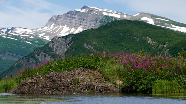 Slope Mountain over a beaver dam at Silver Salmon Creek