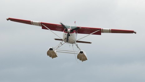 Photo of a float plane flying over forest with tall, glaciated mountains in the background.