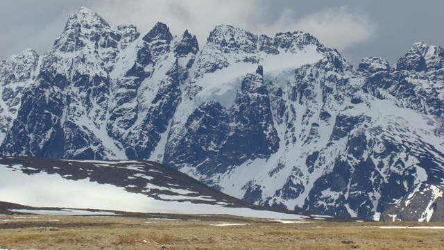 A jagged and snowy mountain peak rises above grassy tundra