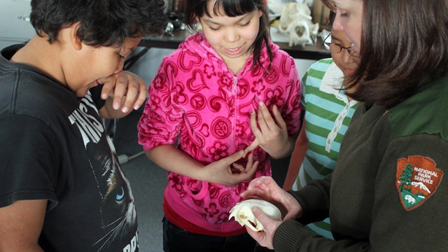Photo of three elementary aged students examining a lynx skull held by a park ranger.