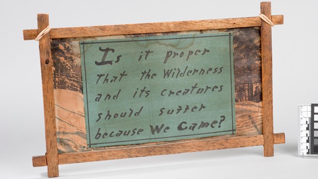 a handmade sign that says "Is it proper that wilderness and its creatures suffer because we came?"