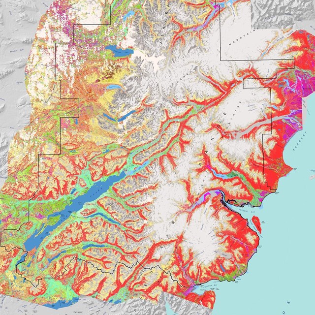 map of various land cover types in Lake Clark