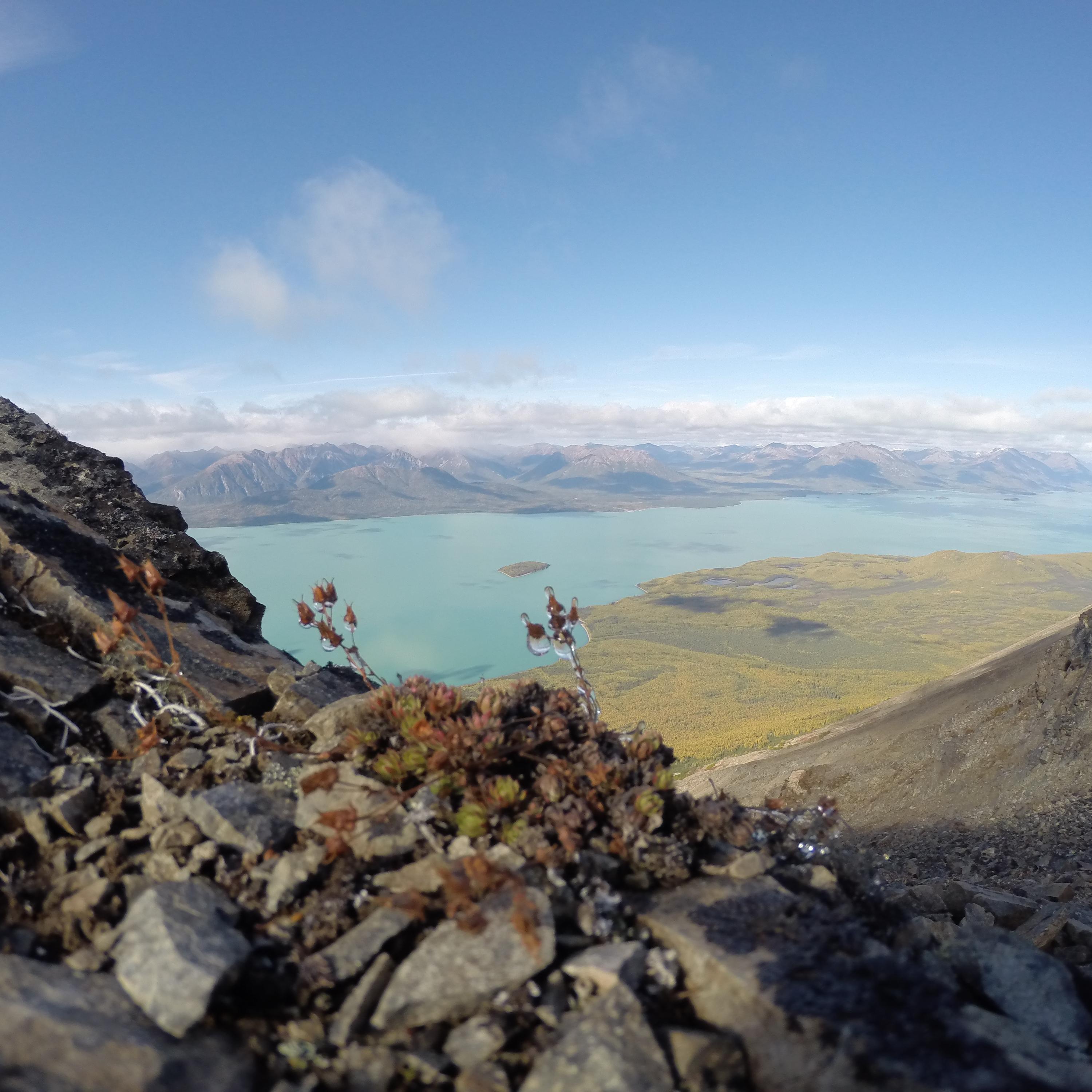 a view of Lake Clark from ontop Tanalian Mountain