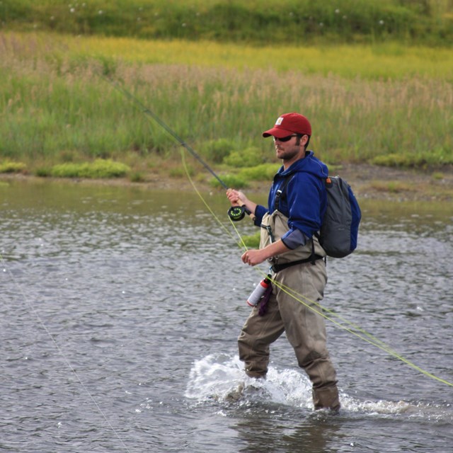 fisherman in river pulling in fish 