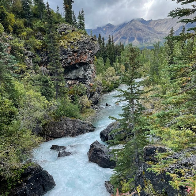 A roaring river winds through a rocky landscape and green trees.