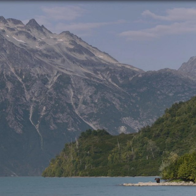 a distant bear walks on the shore of Crescent Lake with mountains in the background