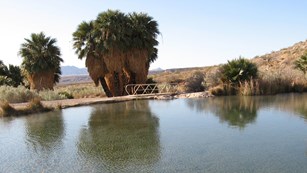 Rogers and Blue Springs