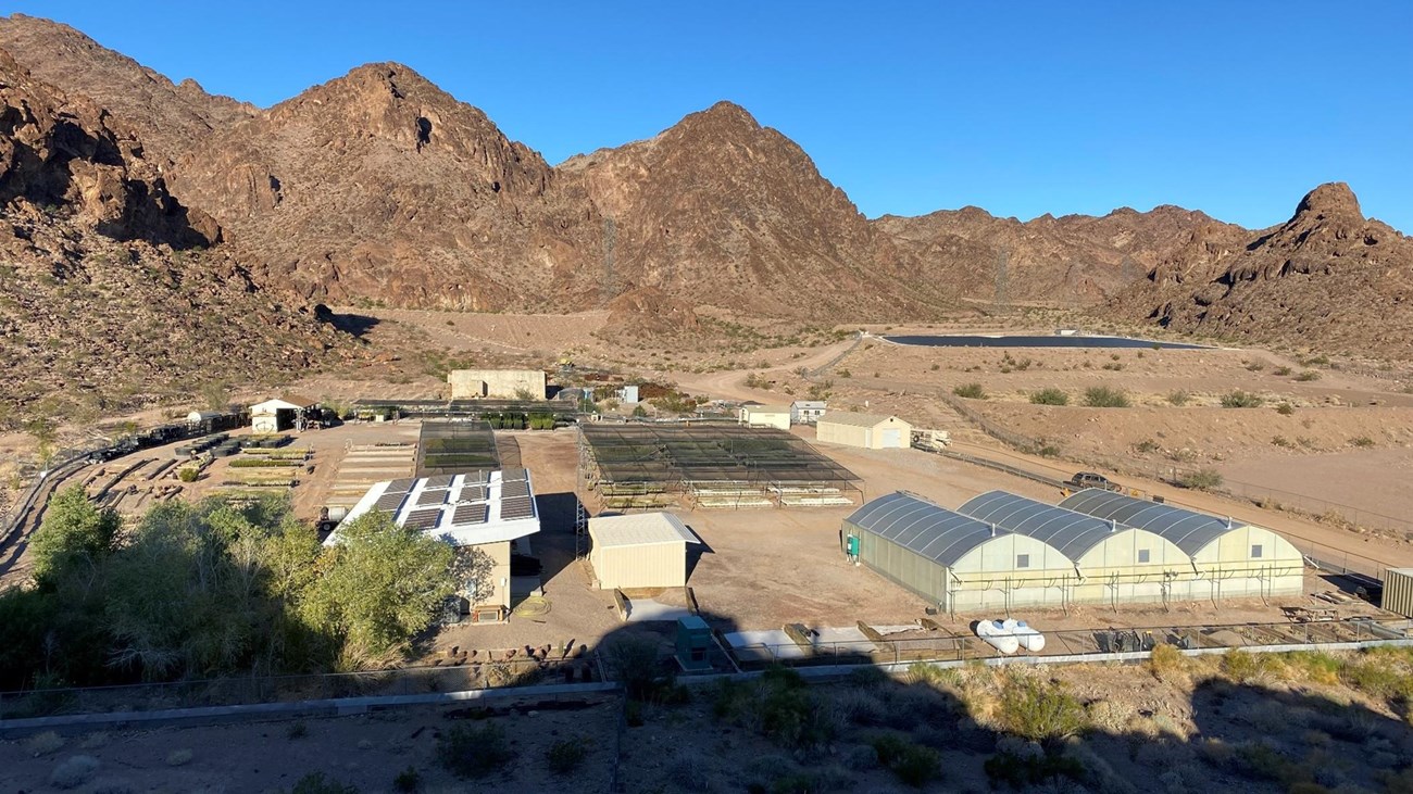 A birds eye view looking down as a plant nursery complex.