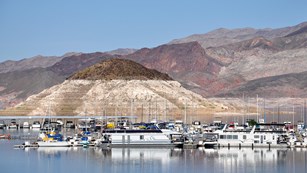 Lake Mead Marina