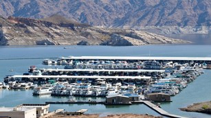 Callville Bay