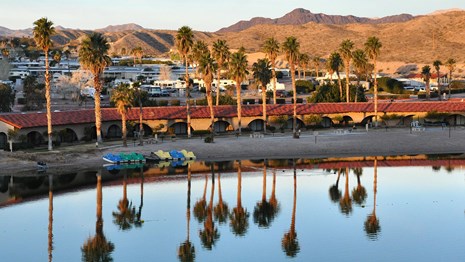Tall palm trees are reflected in still water of Cottonwood Cove Resort