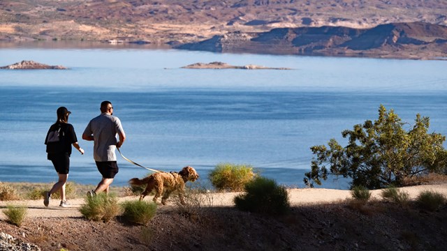 Two people with a dog hike on a trail with a body of water in the distance.
