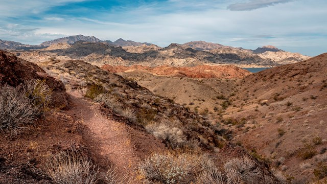 A trail cuts through a desert landscape with a lake in the distance.