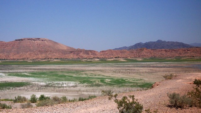A trail cuts through a desert landscape.