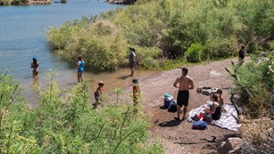 people on beach and in water