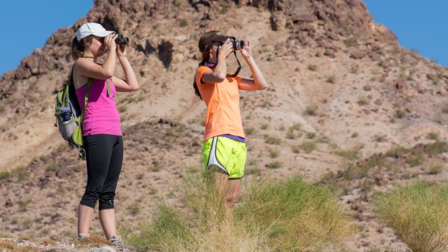 Explore Lake Mead