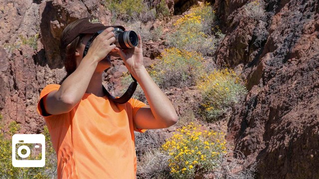 person taking picture in desert