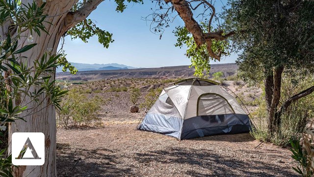 Tent among the trees