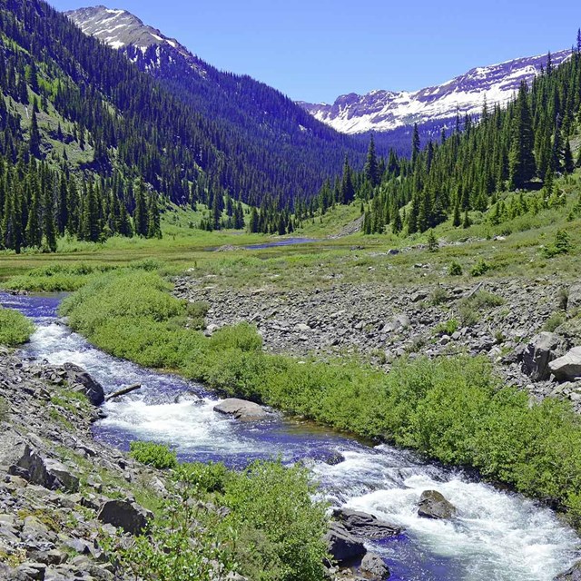 Colorado Rockies 