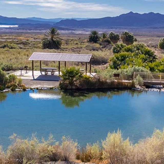 Rogers Spring at Lake Mead NSA